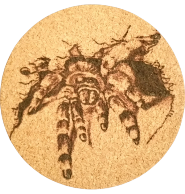 Korkuntersetzer 2er Set – Bild 6